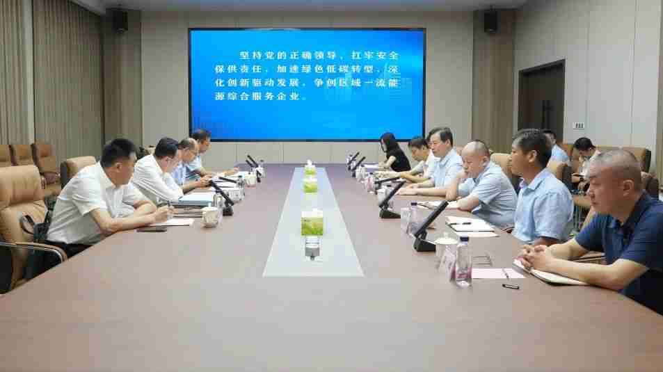 市委常委、副市长沙向东带队到市英国beat365官方网站入口中文版集团 调研指导工作